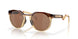 924207 - Brown - Prizm Tungsten