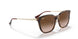 710/13 - Tortoise - Brown Gradient Dark Brown