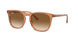 Ray-Ban 2210F Sunglasses