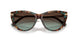 84425D - Tortoise - Azure Gradient Brown
