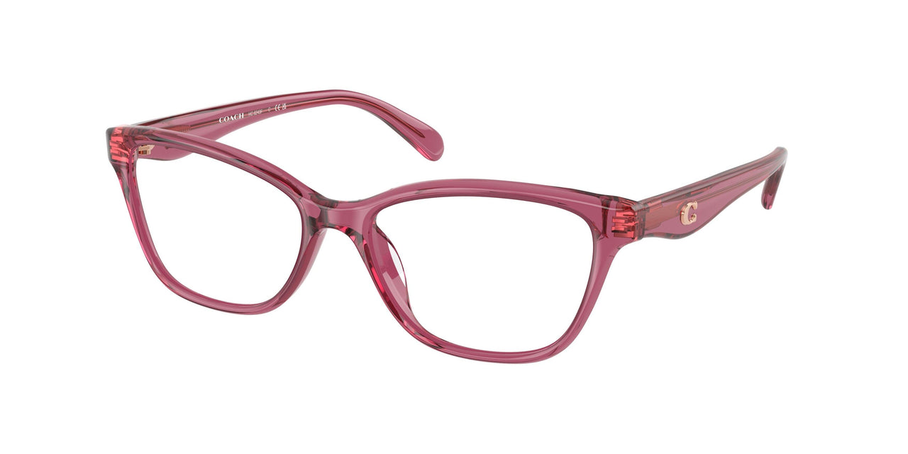 Coach 6243F Eyeglasses