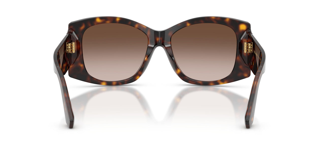 502/13 - Tortoise - Gradient Brown