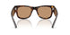 902/53 - Tortoise - Brown