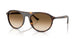 902/51 - Tortoise - Clear Gradient Brown