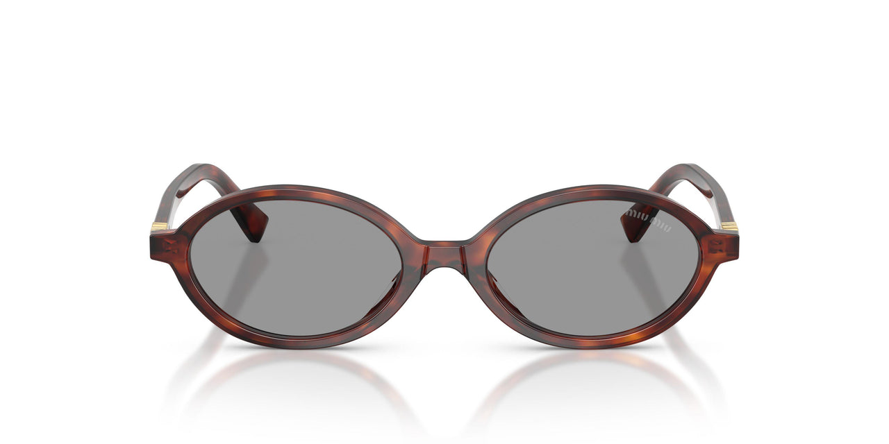 21C40O - Tortoise - Grey