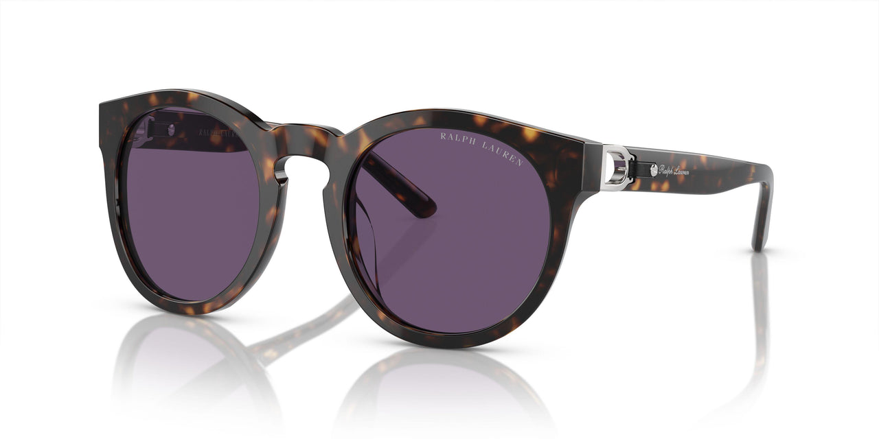 50031A - Tortoise - Purple