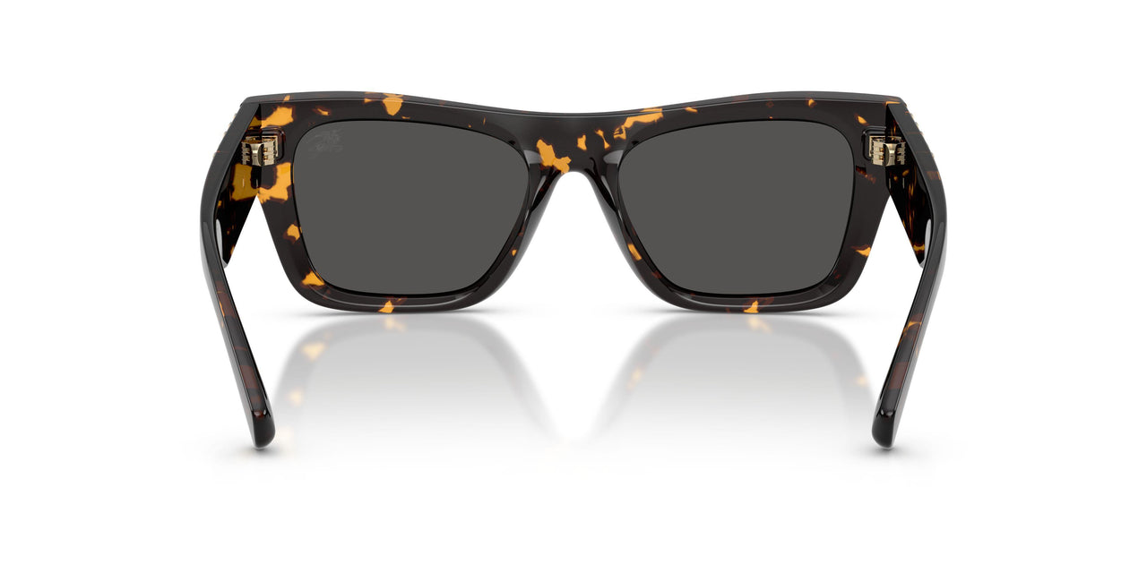 410687 - Tortoise - Dark Grey