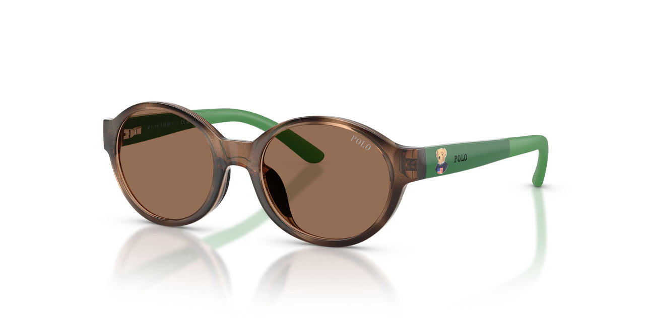 597473 - Tortoise - Dark Brown