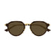 002 - Havana/Gold - Brown