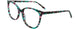 60 - Teal Tortoise
