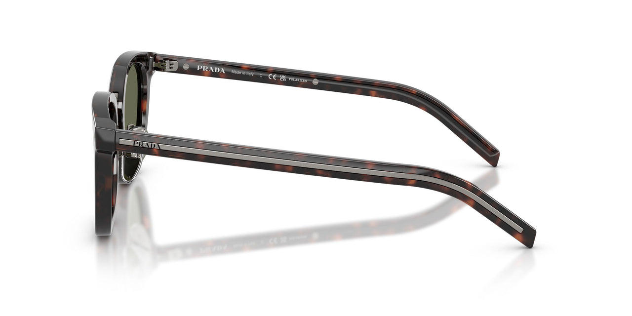 17N03R - Tortoise - Green Polar