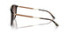 502613 - Tortoise - Gradient Brown