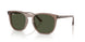 845731 - Brown - Green