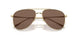 301373 - Gold - Dark Brown