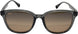 14 - Shiny Trans Dark Grey - Hcl Bronze