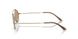 300253 - Gold - Brown