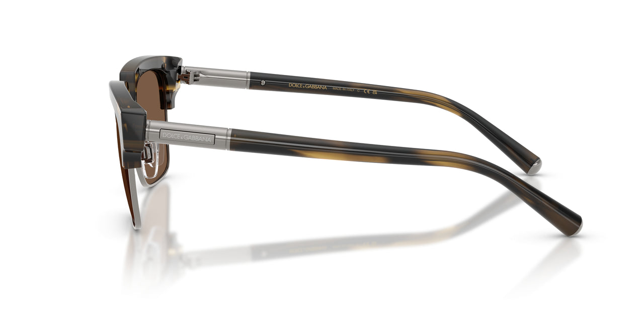 306373 - Tortoise - Brown
