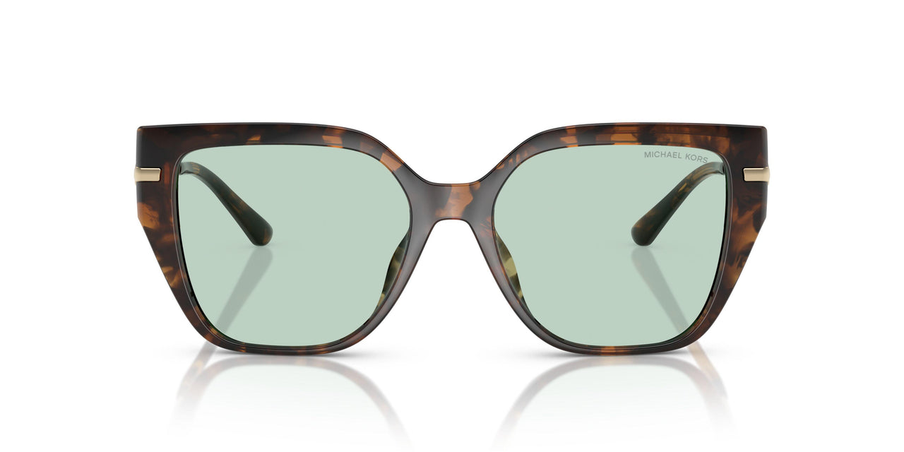 3006M1 - Tortoise - Green Solid Photochromic