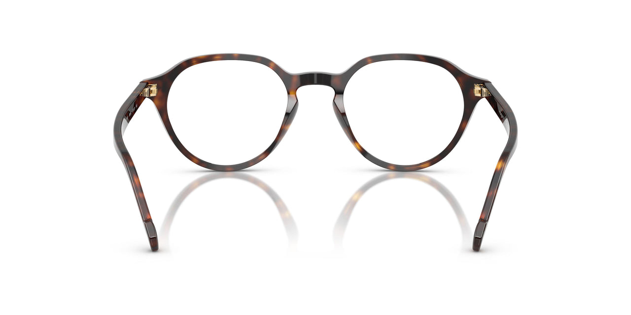 W656 - Brown
