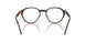 W656 - Brown