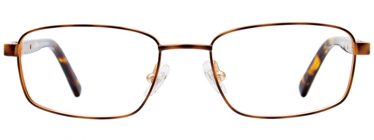 10 - Tortoise & Soft Gold/Tortoise