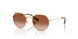 223/13 - Gold - Gradient Brown