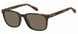 Fossil 3106 Sunglasses