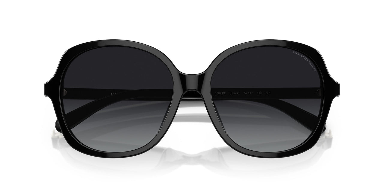5002T3 - Black - Grey Gradient Polar