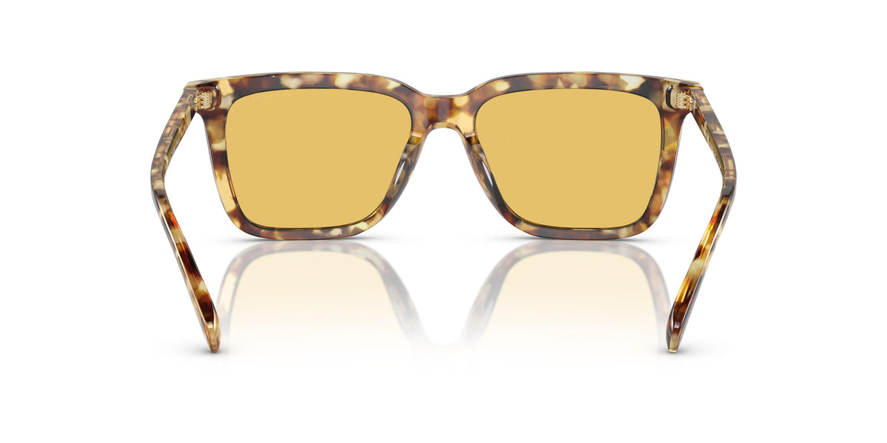 504585 - Tortoise - Amber Solid