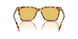 504585 - Tortoise - Amber Solid