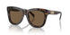 300673 - Tortoise - Dark Brown