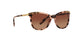 1463T5 - Havana - Brown Gradient Polarized