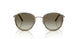 30038E - Grey - Green Gradient