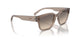 290613 - Brown - Gradient Brown