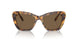 104073 - Tortoise - Dark Brown
