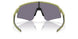 946527 - Green - Prizm Grey