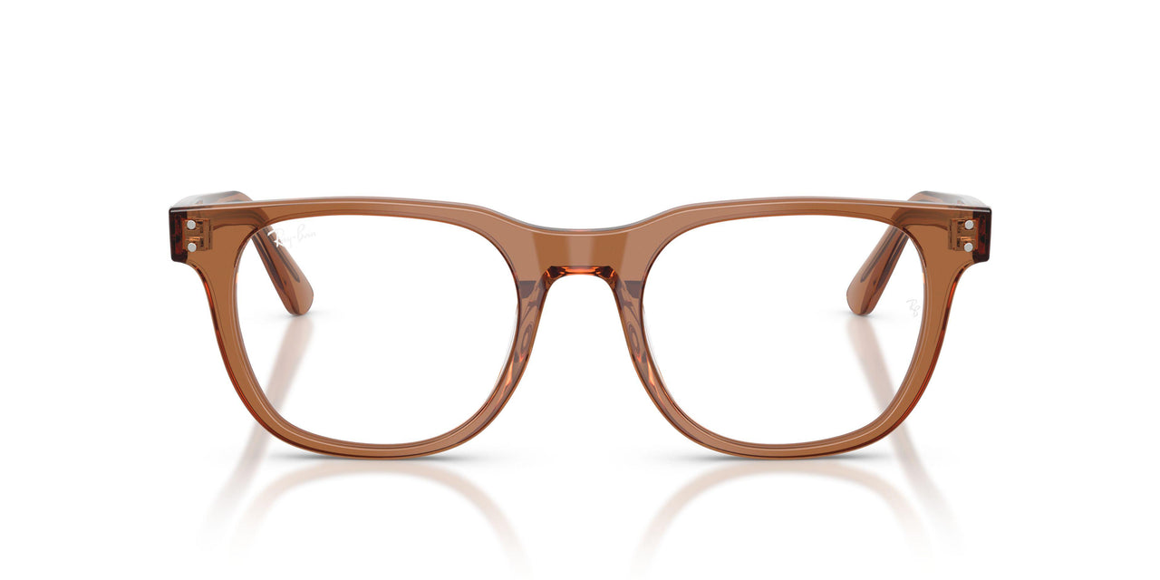 8201 - Brown - Demo Bio