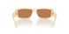 317073 - White - Dark Brown