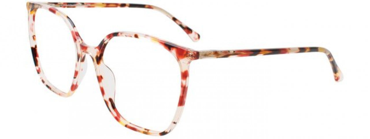 10 - Burgundy Tortoise
