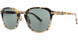 Kata Reiji Sun Sunglasses