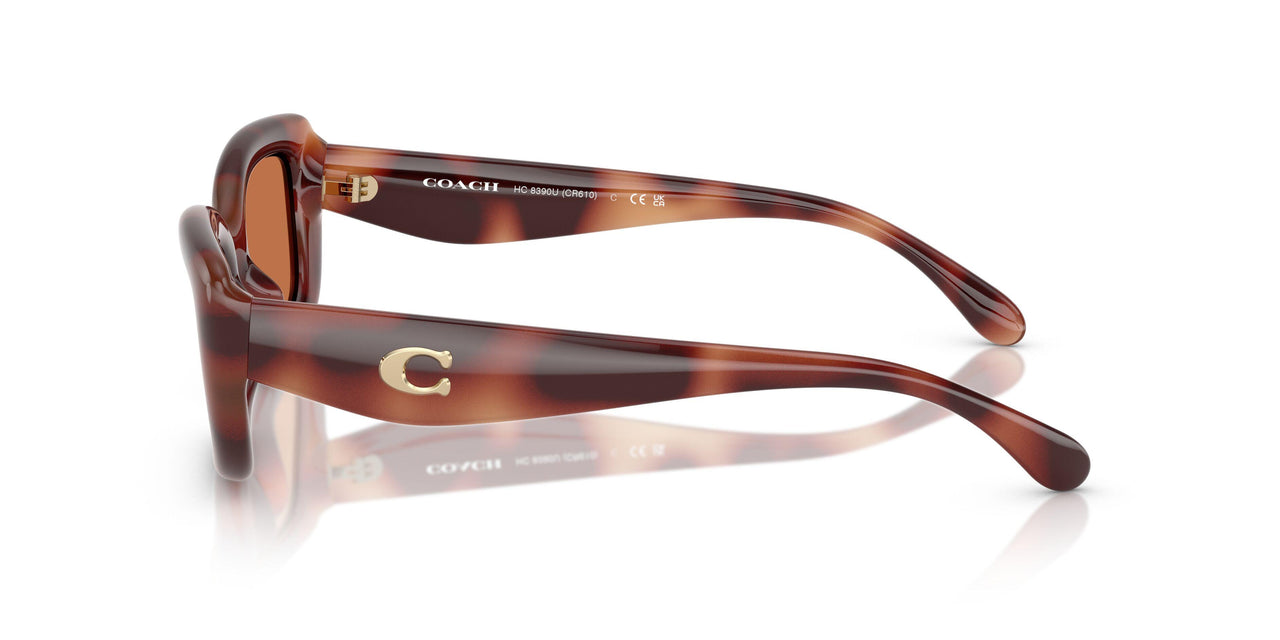 577473 - Tortoise - Brown Solid