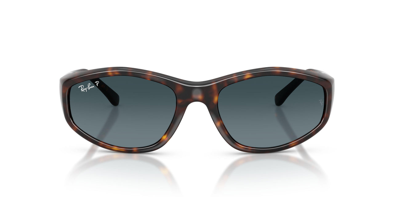 710/S3 - Tortoise - Polarized Light Blue Gradient