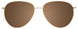 10 - Shiny Light Gold/Shiny Light Gold & Tortoise