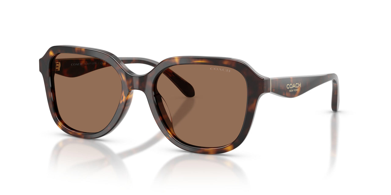 512073 - Tortoise - Brown Solid