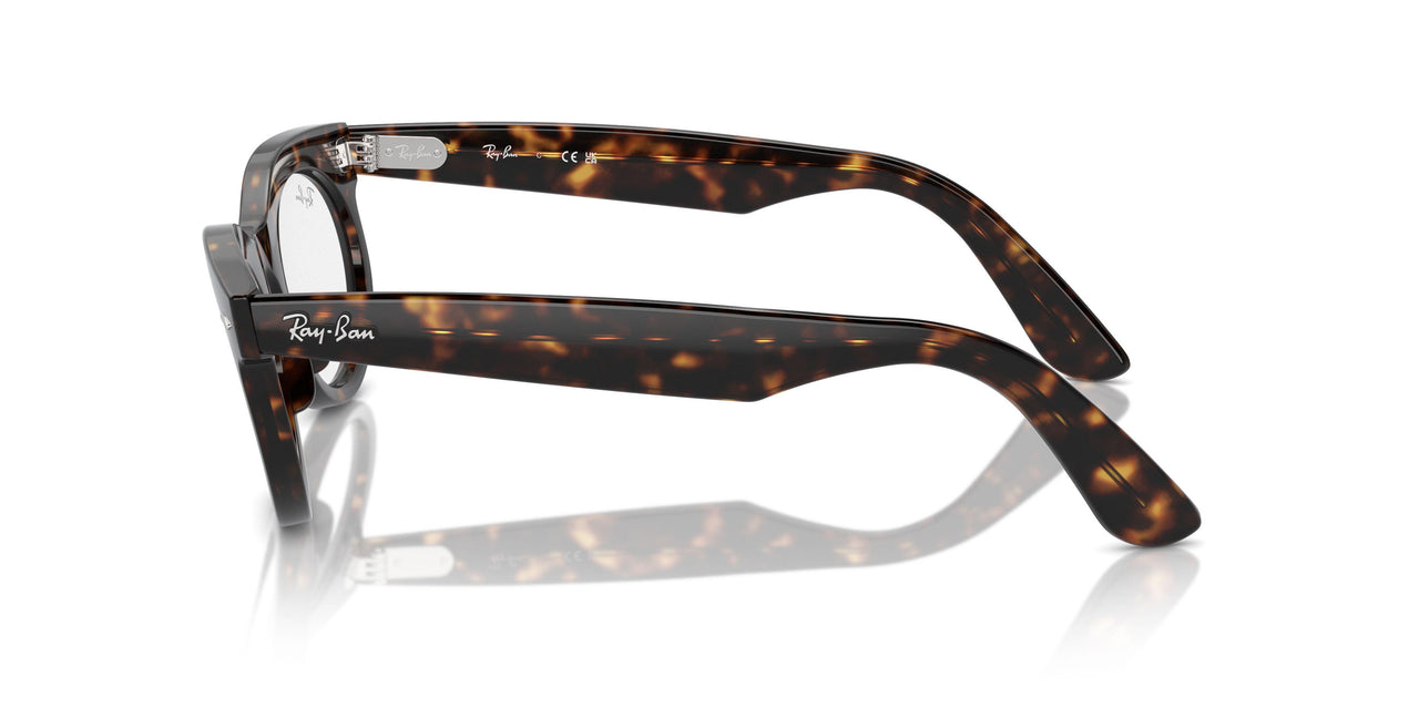 902/GI - Tortoise - Clear/brown