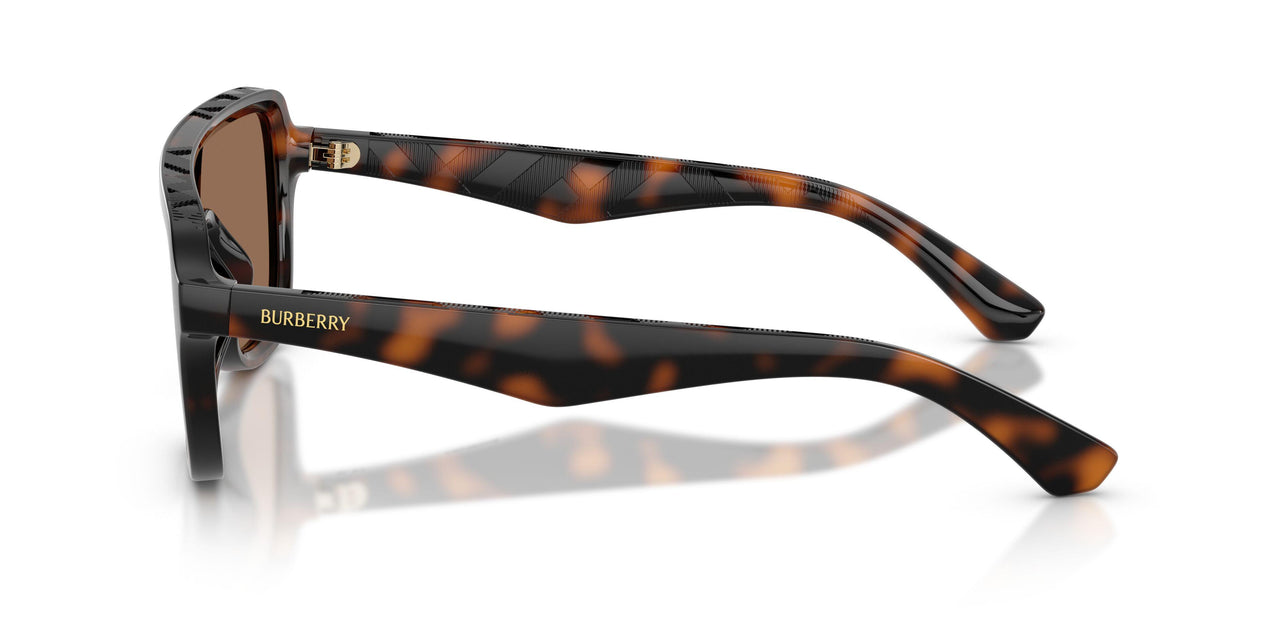300273 - Brown - Dark Brown