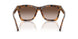 608913 - Tortoise - Gradient Brown