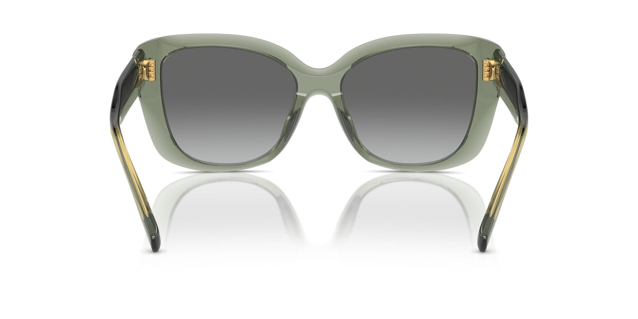 194111 - Green - Light Grey Gradient Dark Grey