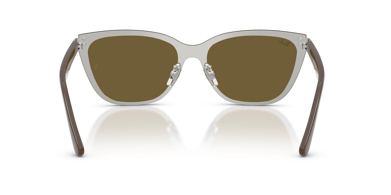 928873 - Silver - Dark Brown