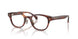 3034 - Tortoise